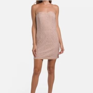 Dress The Population,NWOT, Leanne Lace Cocktail Dress,Large, Blush